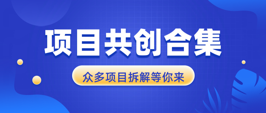 项目共创合集，从0-1全过程拆解，让你迅速找到适合自已的项目-学长代码-毕业设计源码网