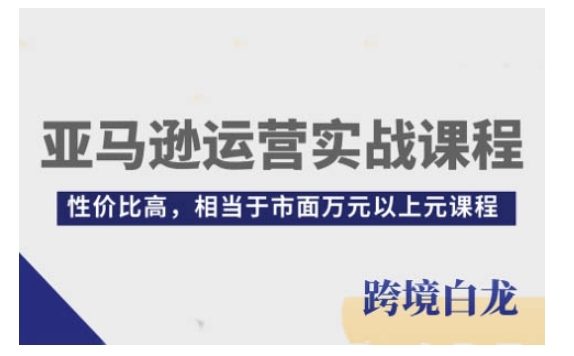 亚马逊运营实战课程，亚马逊从入门到精通，性价比高，相当于市面万元以上元课程-学长代码-毕业设计源码网