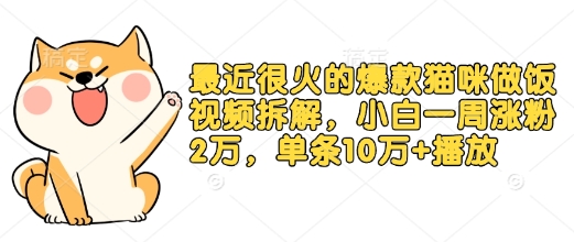 最近很火的爆款猫咪做饭视频拆解，小白一周涨粉2万，单条10万+播放(附保姆级教程)-学长代码-毕业设计源码网